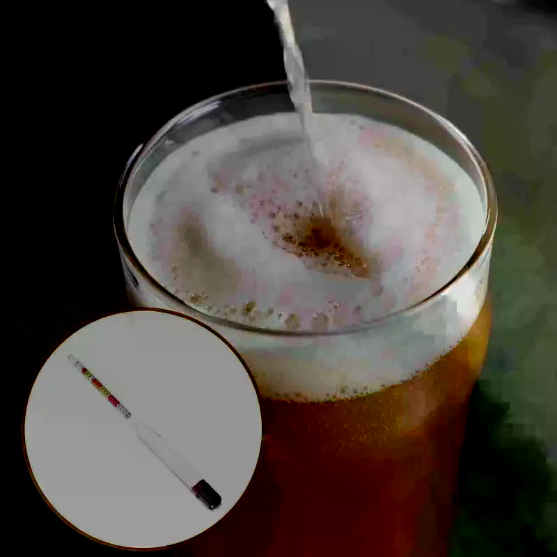 3 Scale Hydrometer For Wine Be - Wine Beer Cider 评论和价格