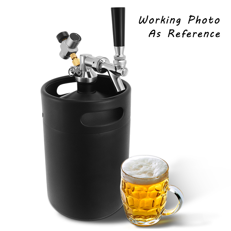 ELECQUEEN Mini Keg 5l, Matte B - Craft Beer & Wine U- 评论和价格